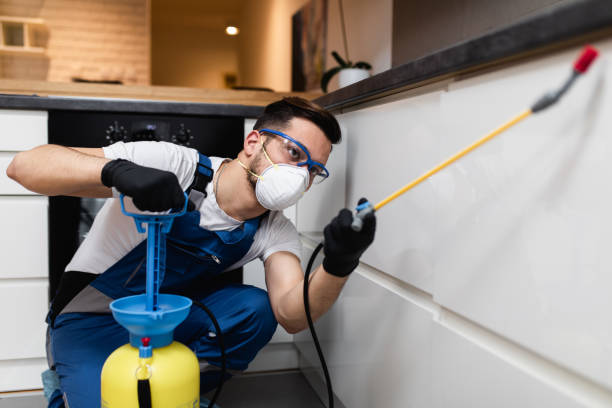Best Affordable Pest Control Services  in Lindsay, CA