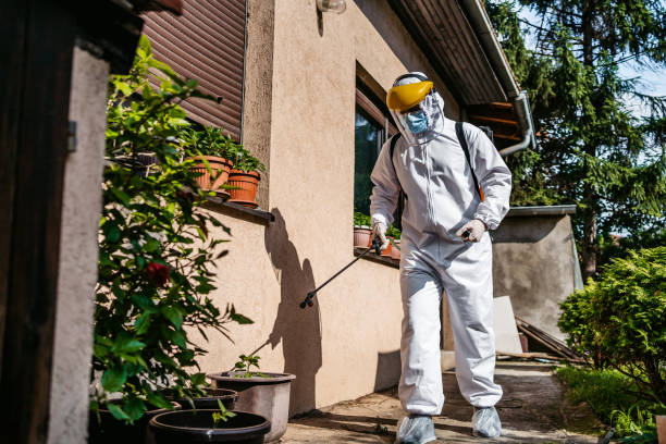 Best Termite Control Services  in Lindsay, CA