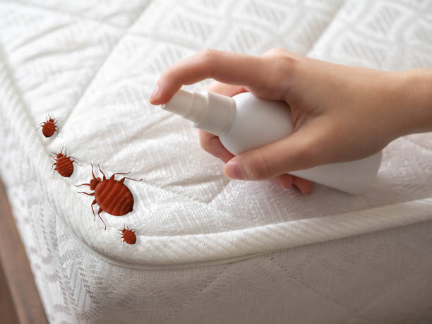 Best Exterminator Services  in Lindsay, CA