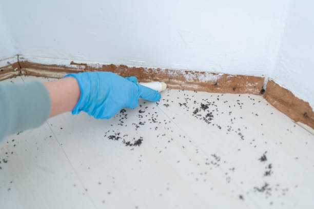 Best Pest Prevention Services  in Lindsay, CA